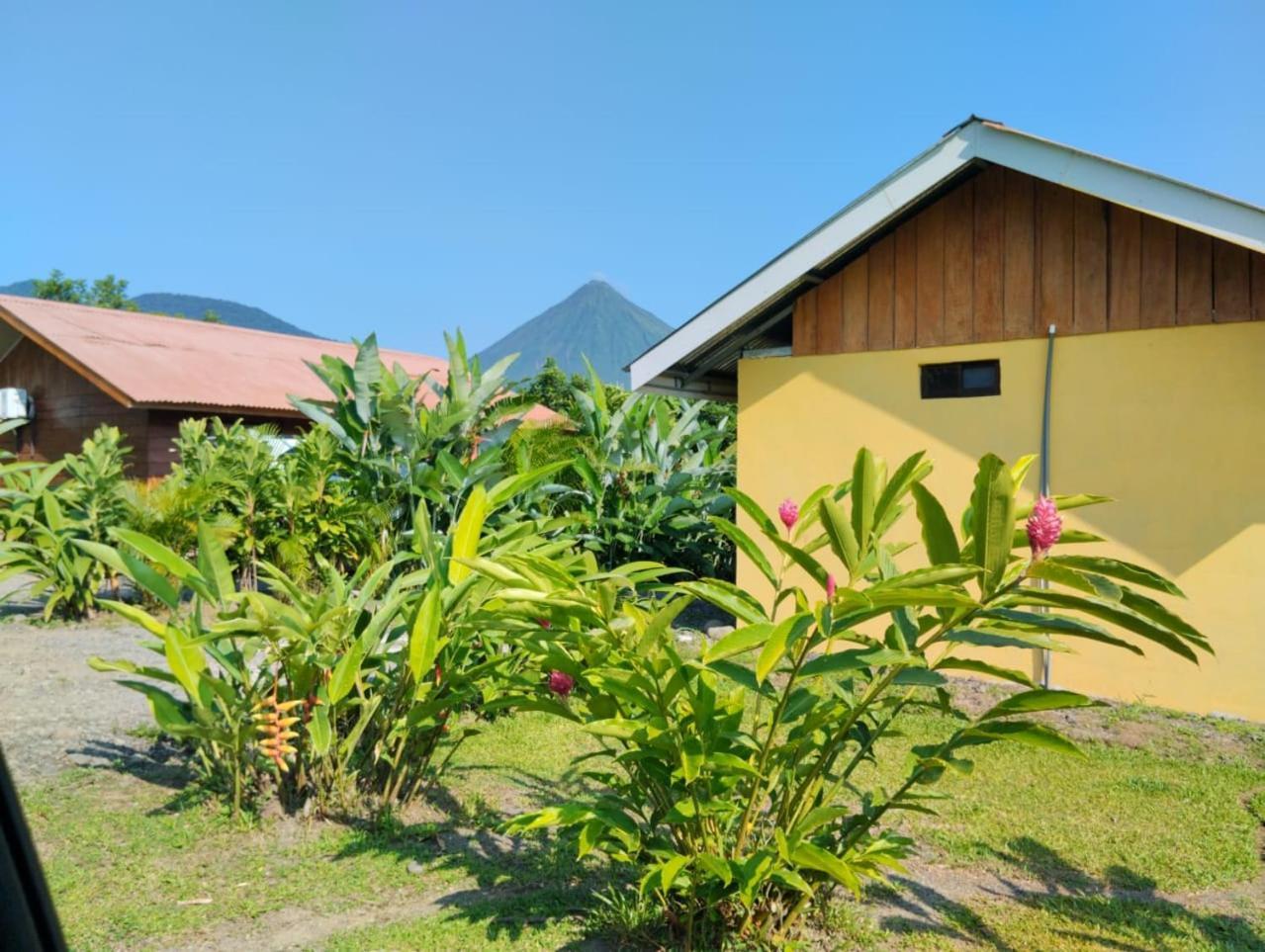 Cabana Rural Ave Del Paraiso La Fortuna Εξωτερικό φωτογραφία