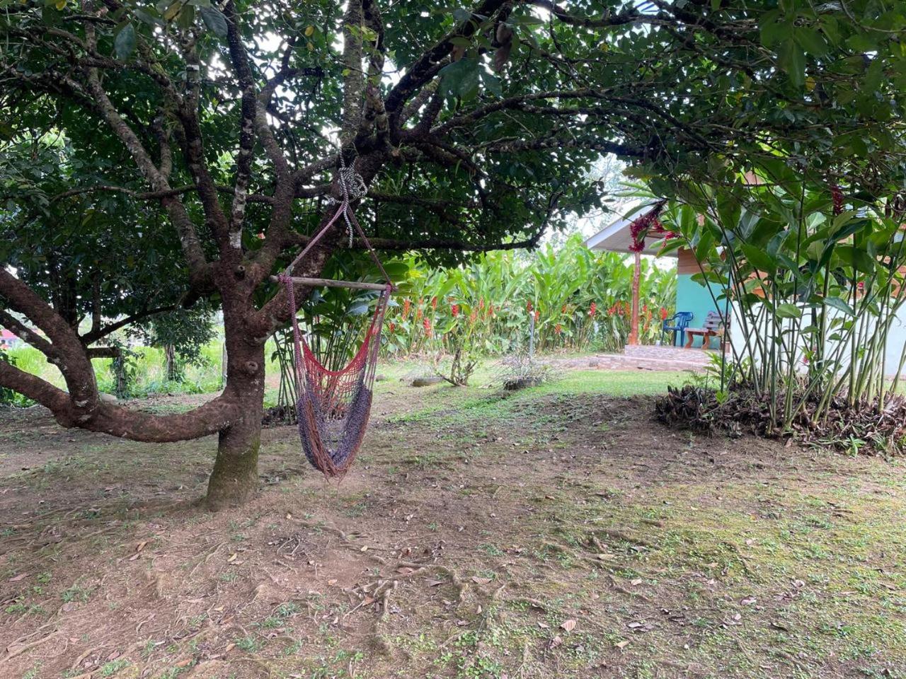 Cabana Rural Ave Del Paraiso La Fortuna Εξωτερικό φωτογραφία